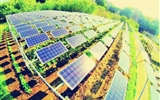 “農光互補”光伏發(fā)電模式下的收益分析