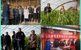 現(xiàn)代農(nóng)業(yè)技術(shù)系開展“喜迎己亥新春佳節(jié)、送科技送文化下鄉(xiāng)”主題黨日活動