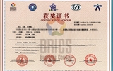 2023年一帶一路暨金磚國家技能發(fā)展與技術(shù)創(chuàng)新大賽新型電力系統(tǒng)的設(shè)計(jì)實(shí)施賽項(xiàng)一等獎(jiǎng)