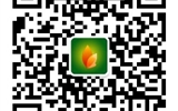武威職業(yè)學(xué)院關(guān)于2019年單獨(dú)招生測(cè)試成績(jī)查詢(xún)及錄取結(jié)果的聲明